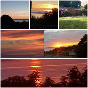 Photo 19- click for photo gallery